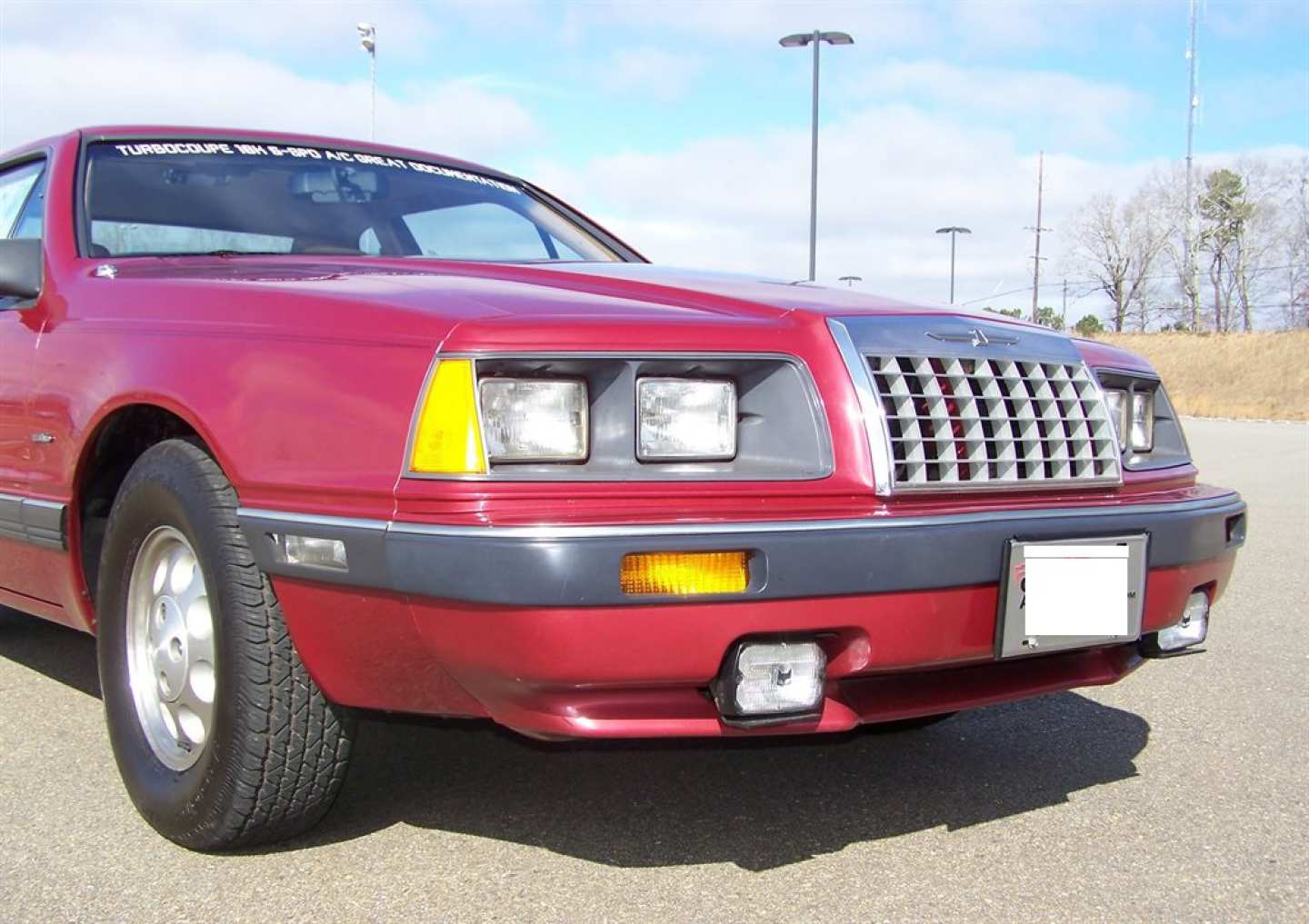 12th Image of a 1984 FORD THUNDERBIRD