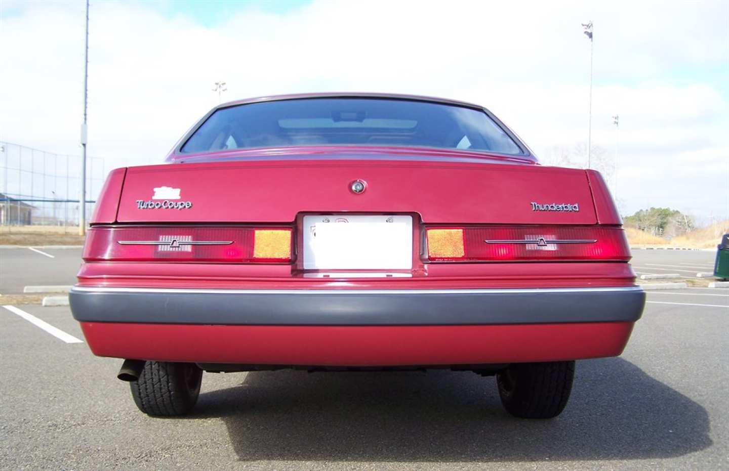 14th Image of a 1984 FORD THUNDERBIRD