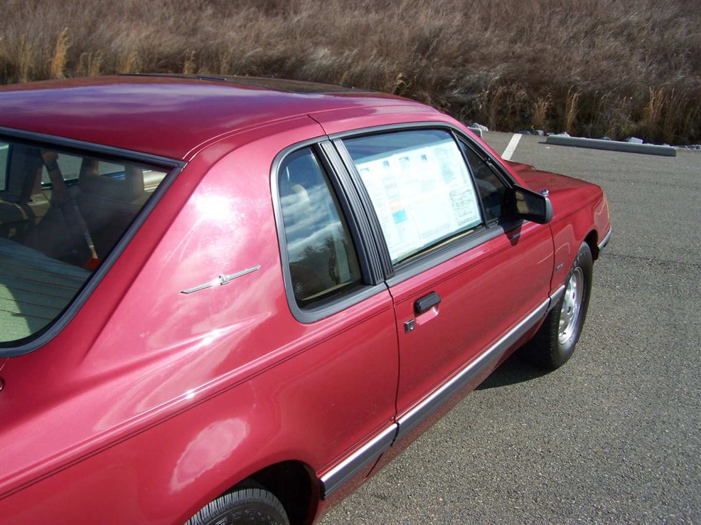 15th Image of a 1984 FORD THUNDERBIRD