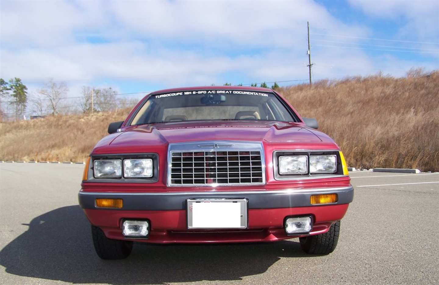 16th Image of a 1984 FORD THUNDERBIRD
