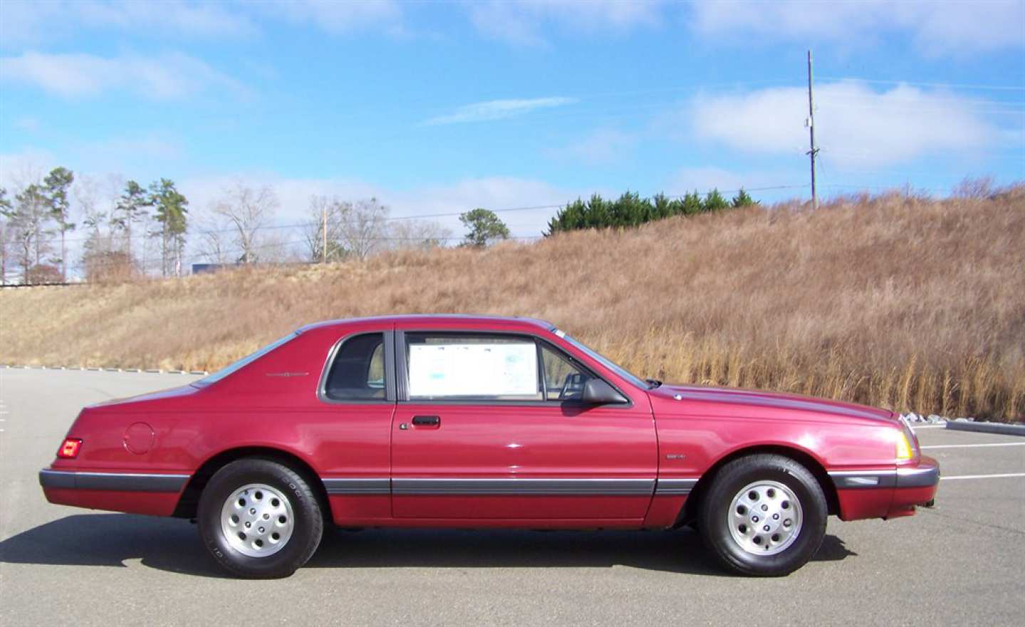 25th Image of a 1984 FORD THUNDERBIRD