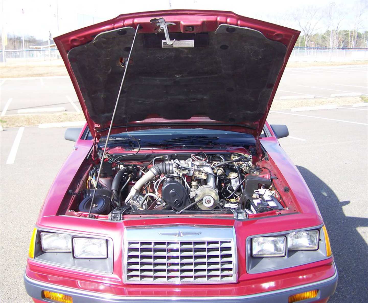 45th Image of a 1984 FORD THUNDERBIRD