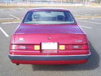 Image 4 of 69 of a 1984 FORD THUNDERBIRD