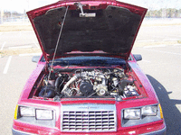 Image 46 of 69 of a 1984 FORD THUNDERBIRD
