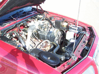 Image 48 of 69 of a 1984 FORD THUNDERBIRD