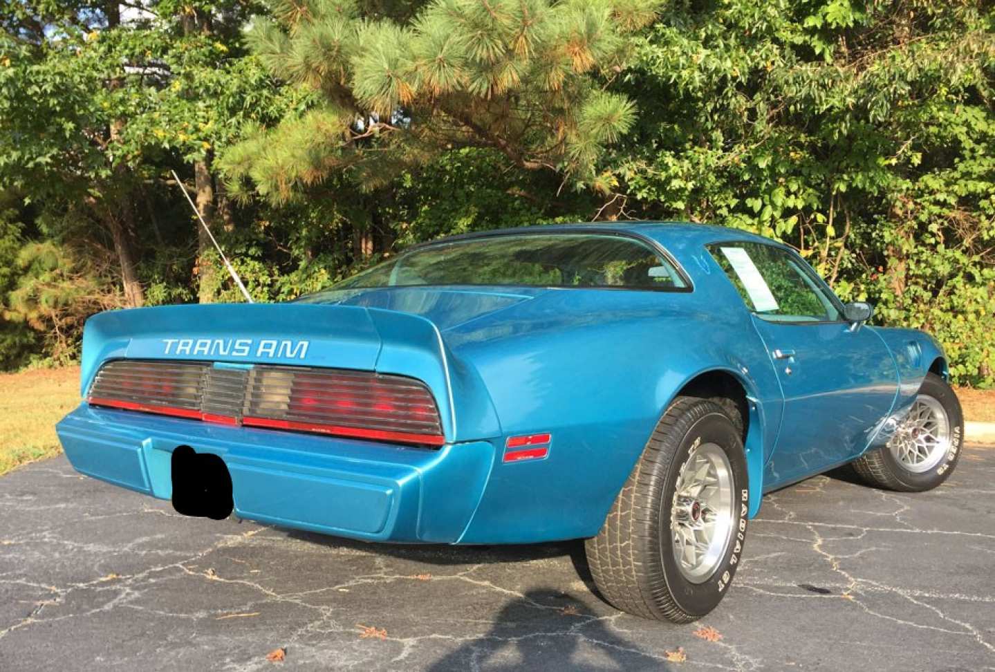 3rd Image of a 1979 PONTIAC TRANS AM L78