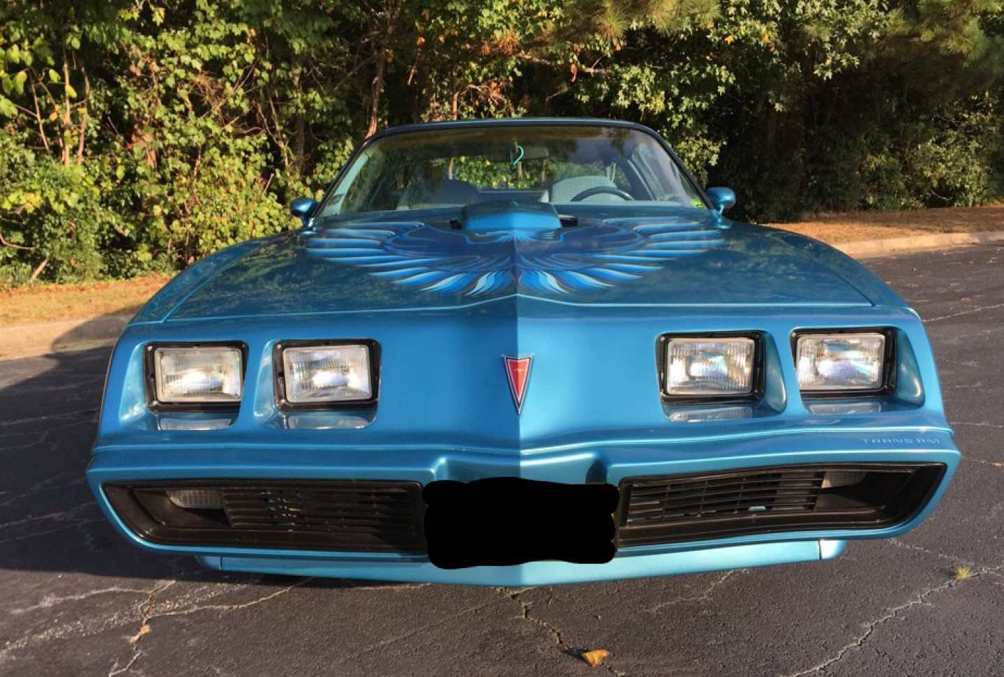 4th Image of a 1979 PONTIAC TRANS AM L78