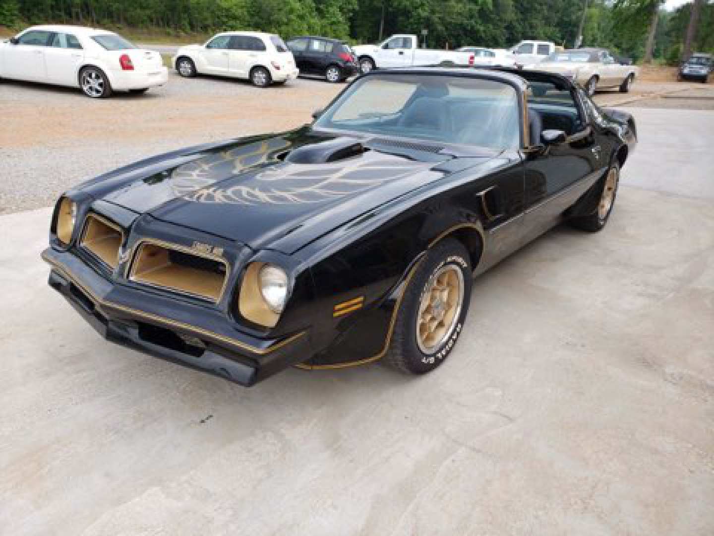 0th Image of a 1976 PONTIAC TRANS AM HURST PACKAGE