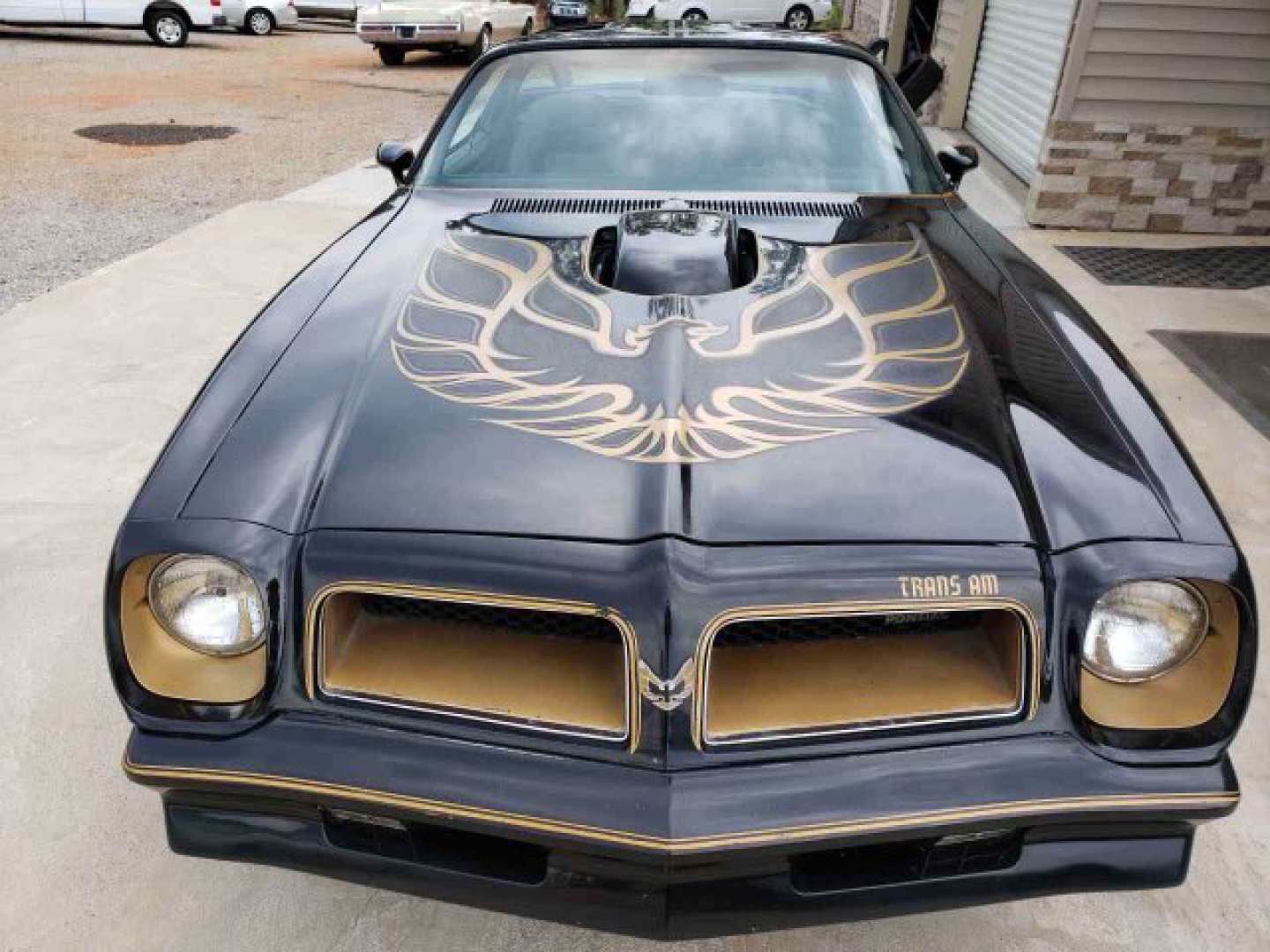 4th Image of a 1976 PONTIAC TRANS AM HURST PACKAGE