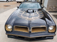 Image 5 of 8 of a 1976 PONTIAC TRANS AM HURST PACKAGE