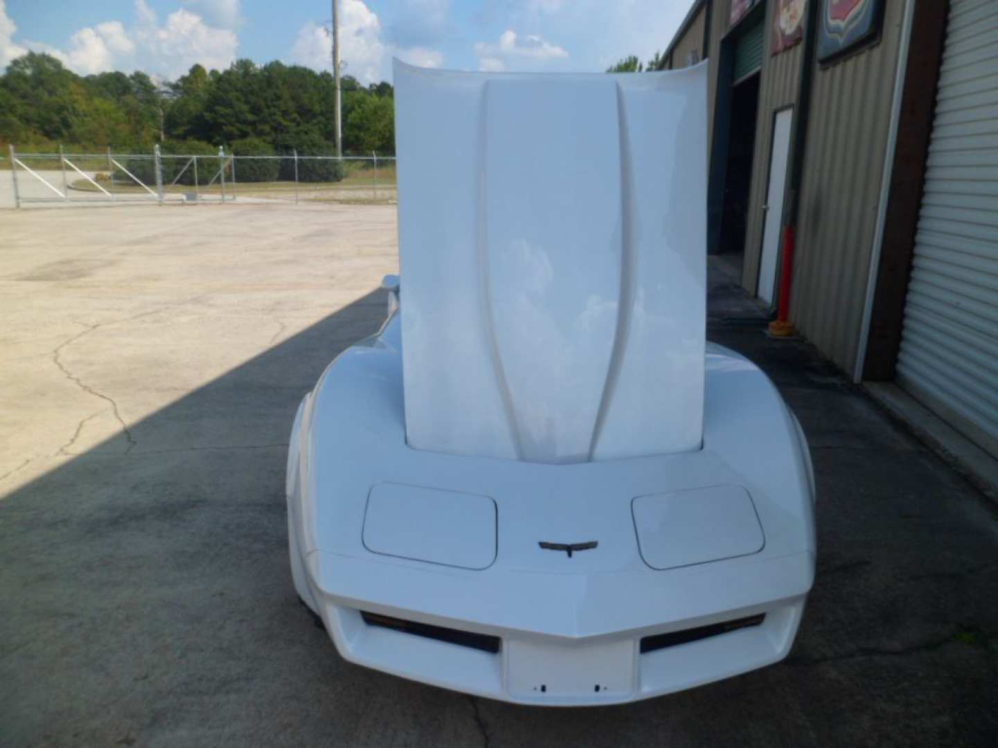 9th Image of a 1981 CHEVROLET CORVETTE