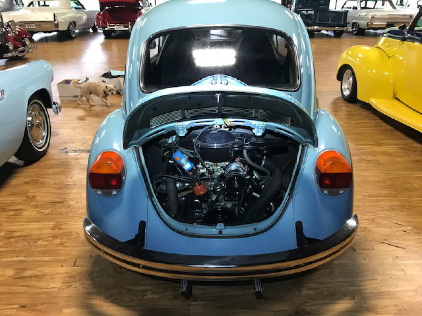 1st Image of a 1973 VOLKSWAGEN BEETLE