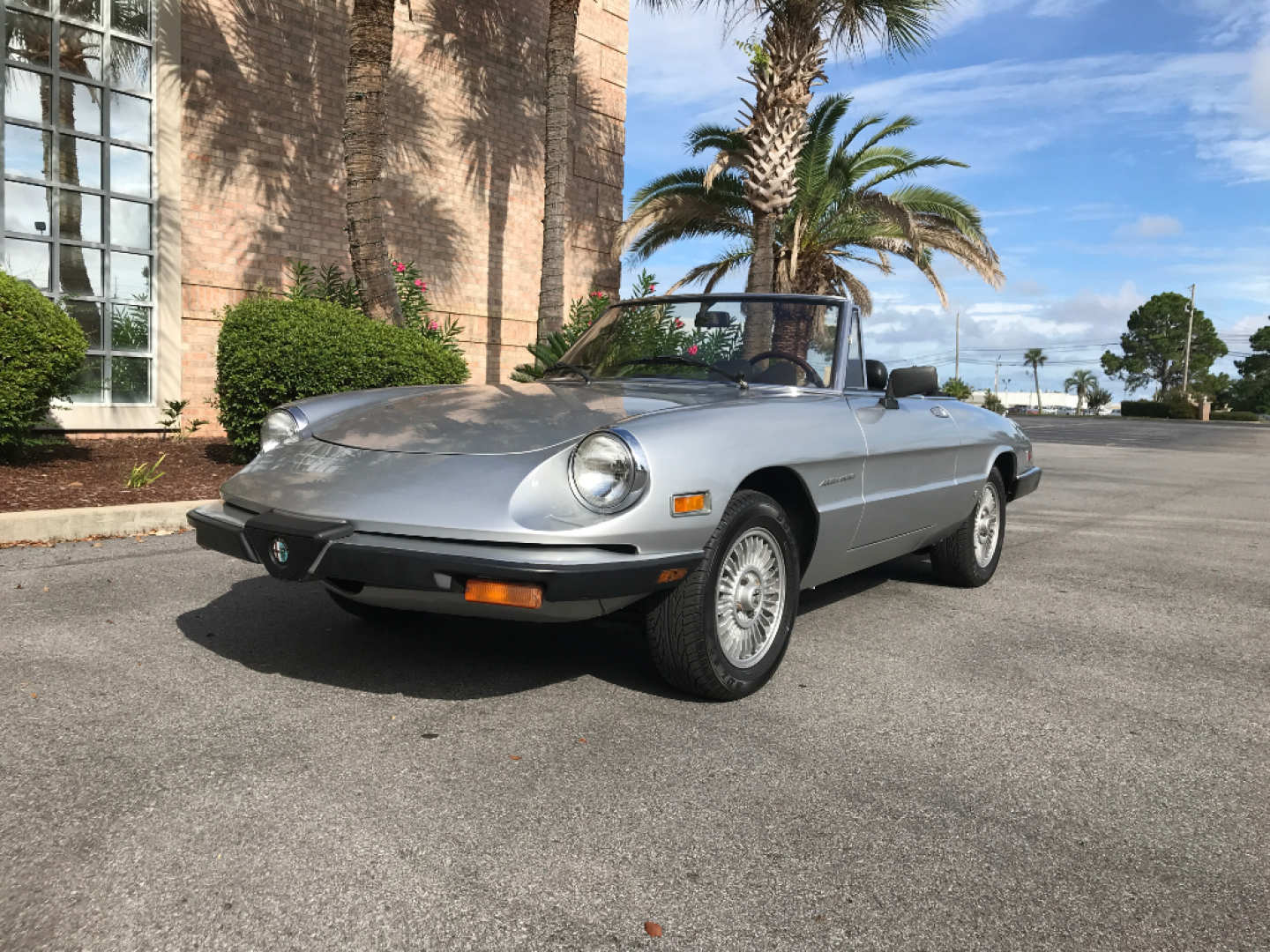 0th Image of a 1981 ALFA-ROMEO SPYDER