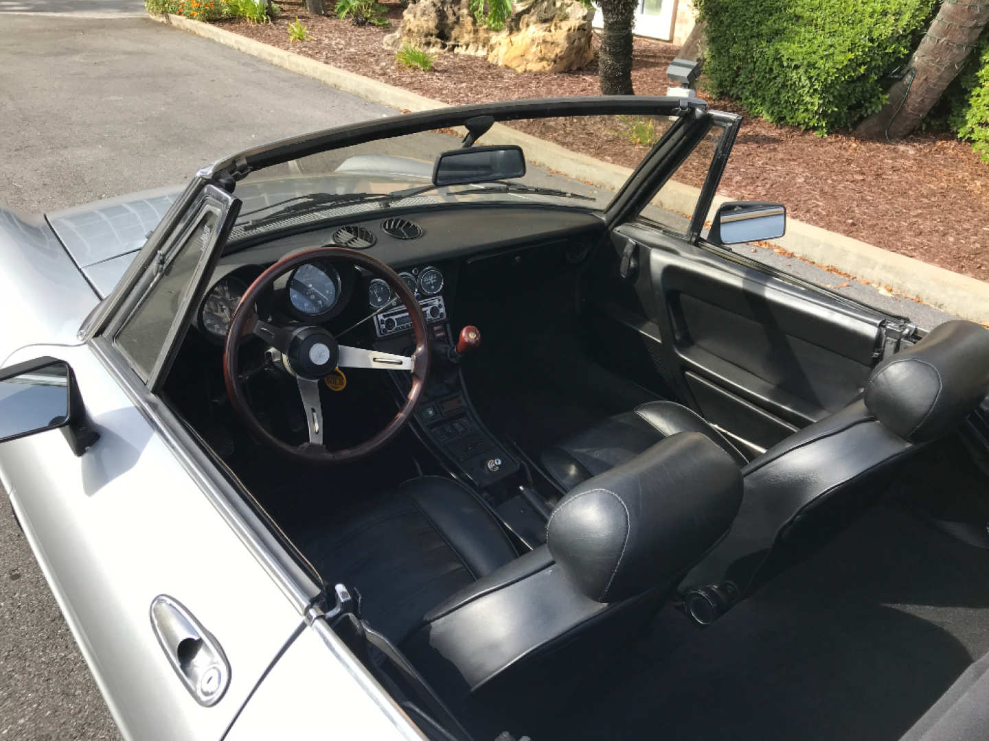 1st Image of a 1981 ALFA-ROMEO SPYDER