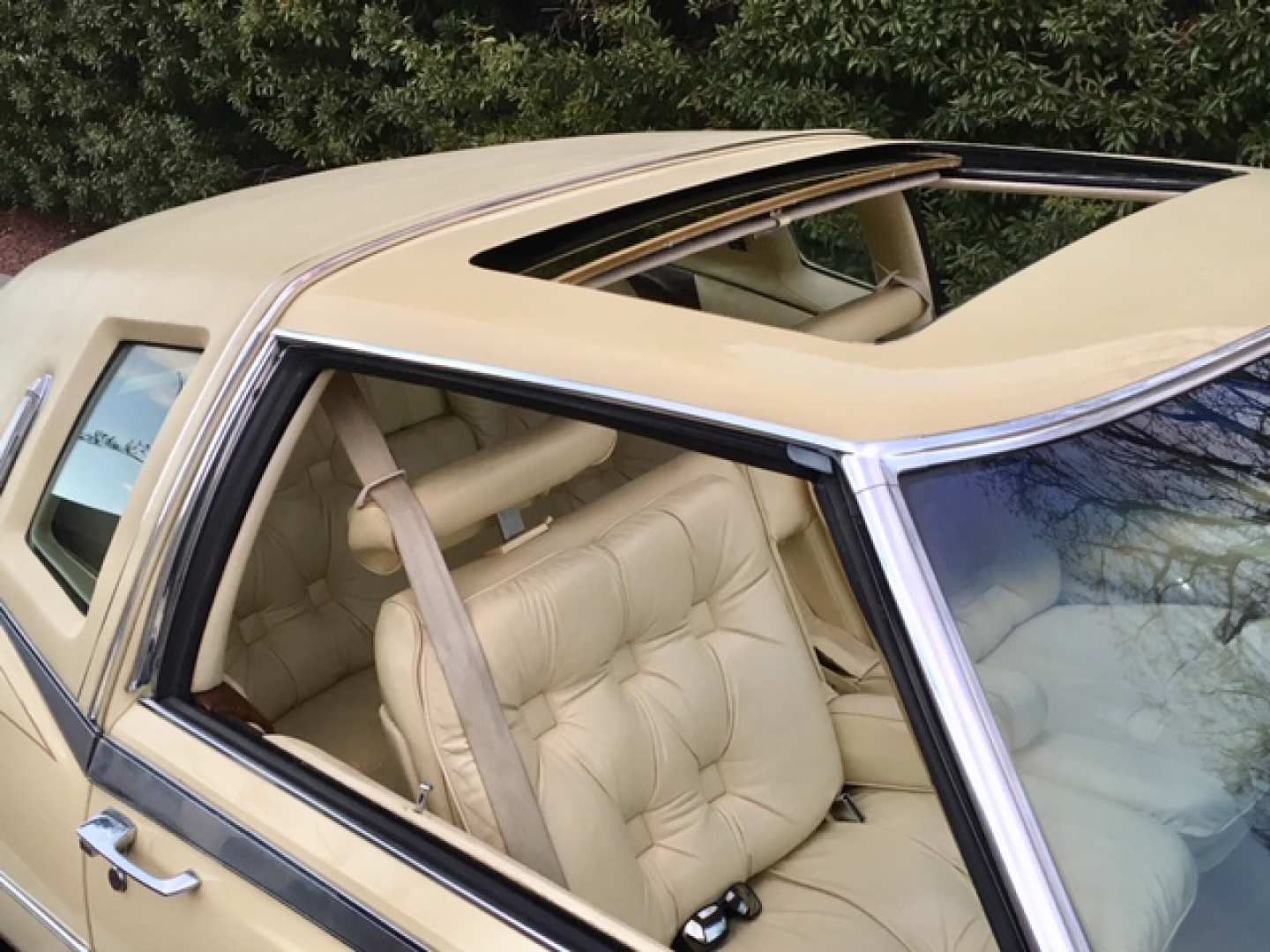 9th Image of a 1978 CADILLAC ELDORADO BIARRITZ