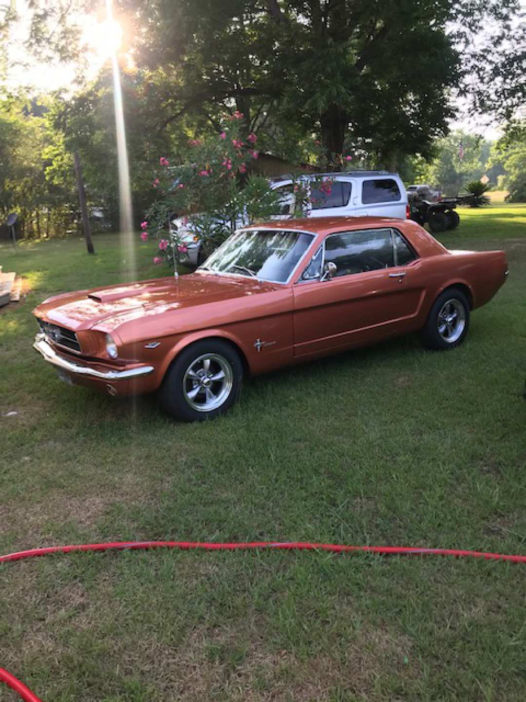 0th Image of a 1964 FORD MUSTANG