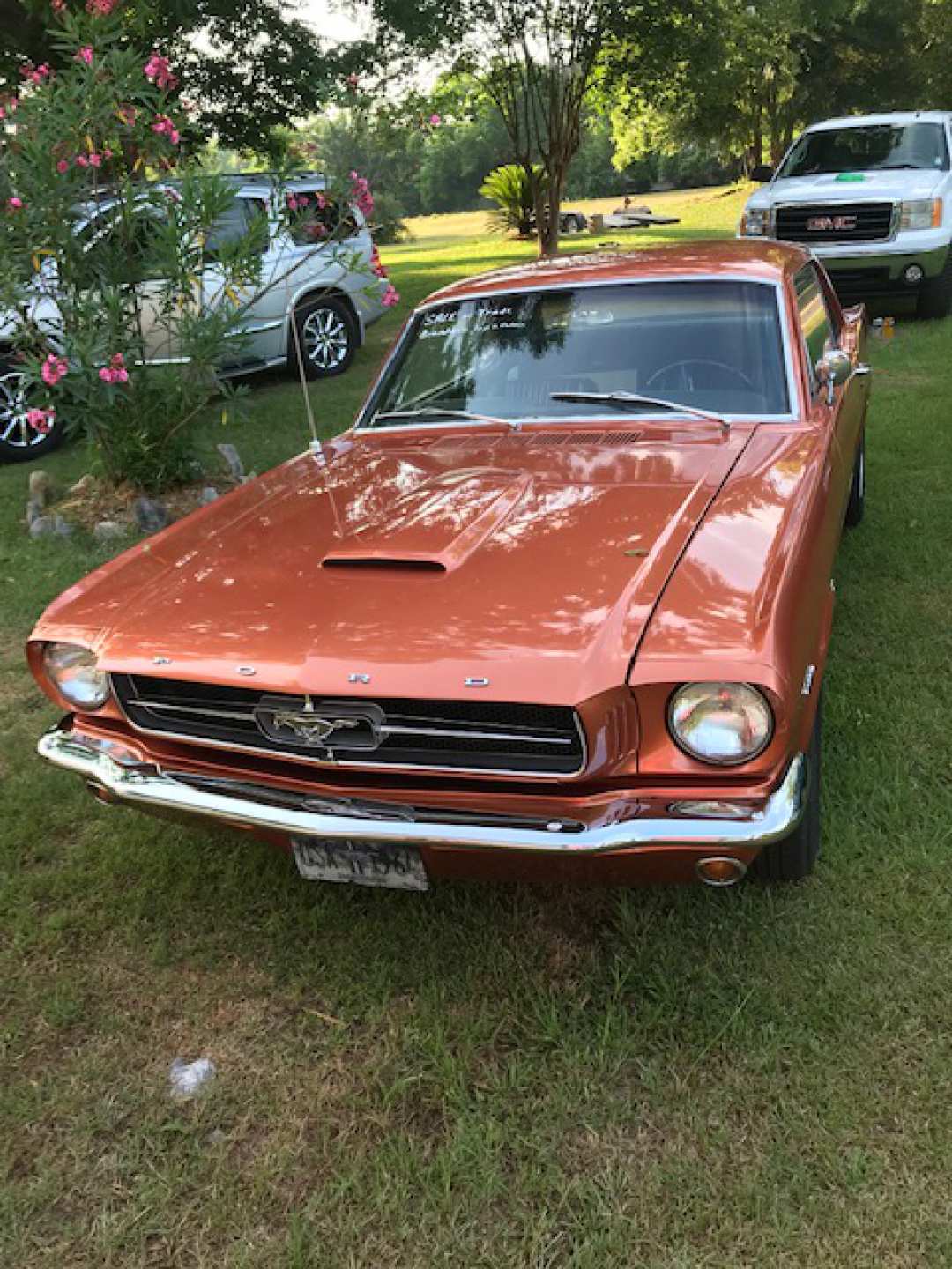 2nd Image of a 1964 FORD MUSTANG