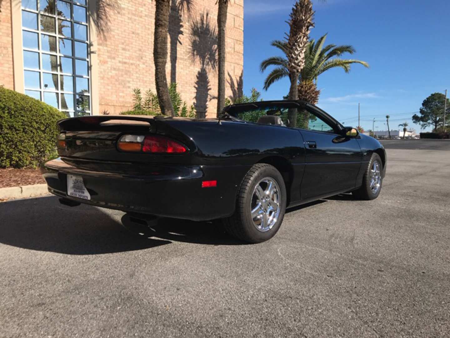 4th Image of a 1998 CHEVROLET CAMARO Z28