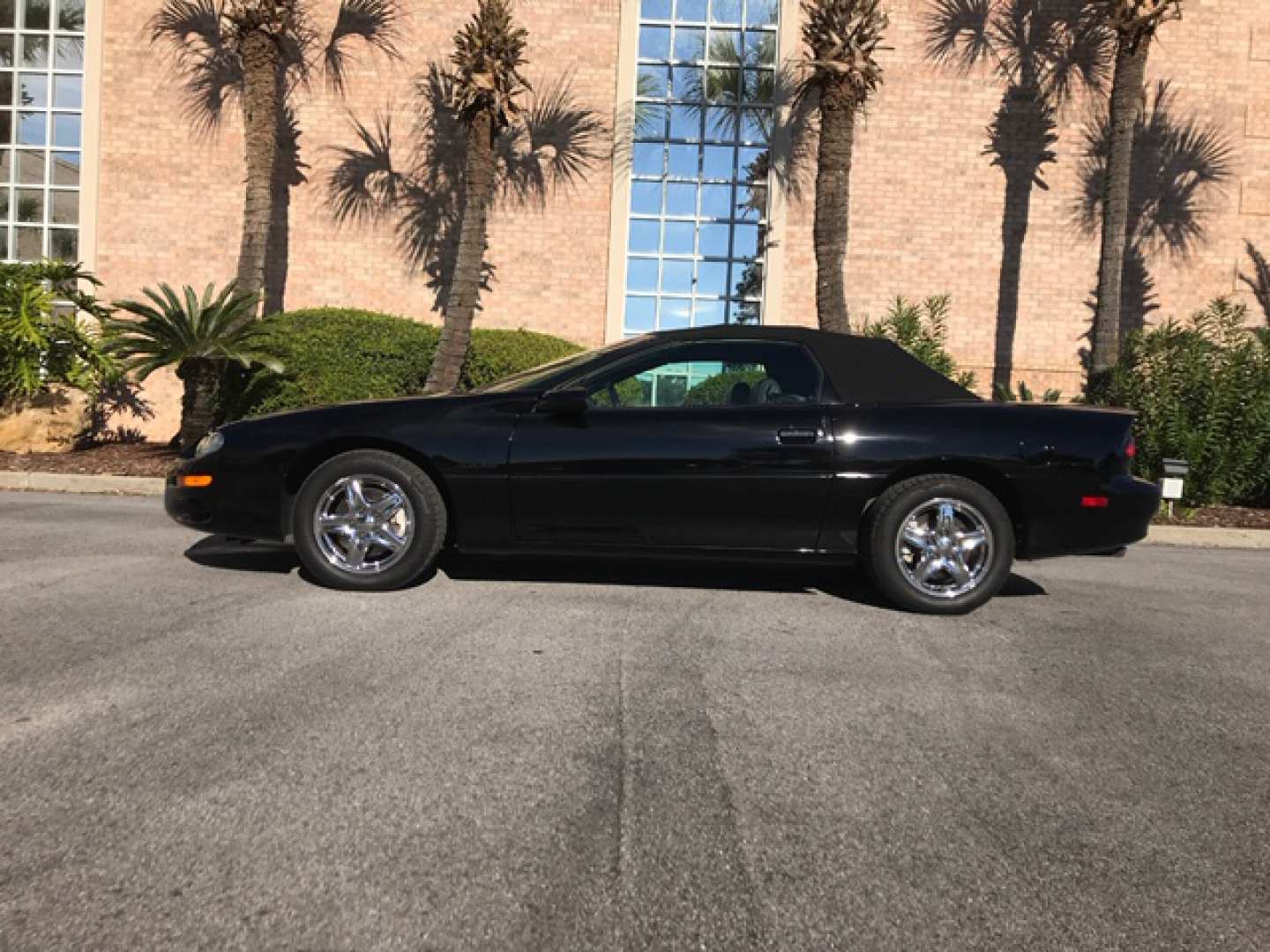 5th Image of a 1998 CHEVROLET CAMARO Z28