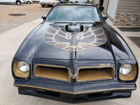 Image 5 of 8 of a 1976 PONTIAC TRANS AM