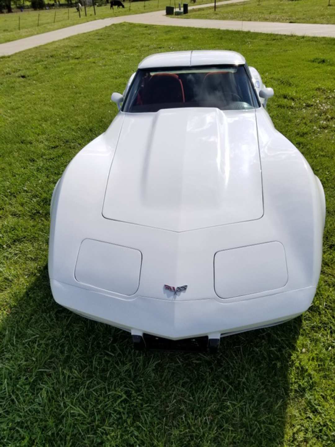6th Image of a 1977 CHEVROLET CORVETTE