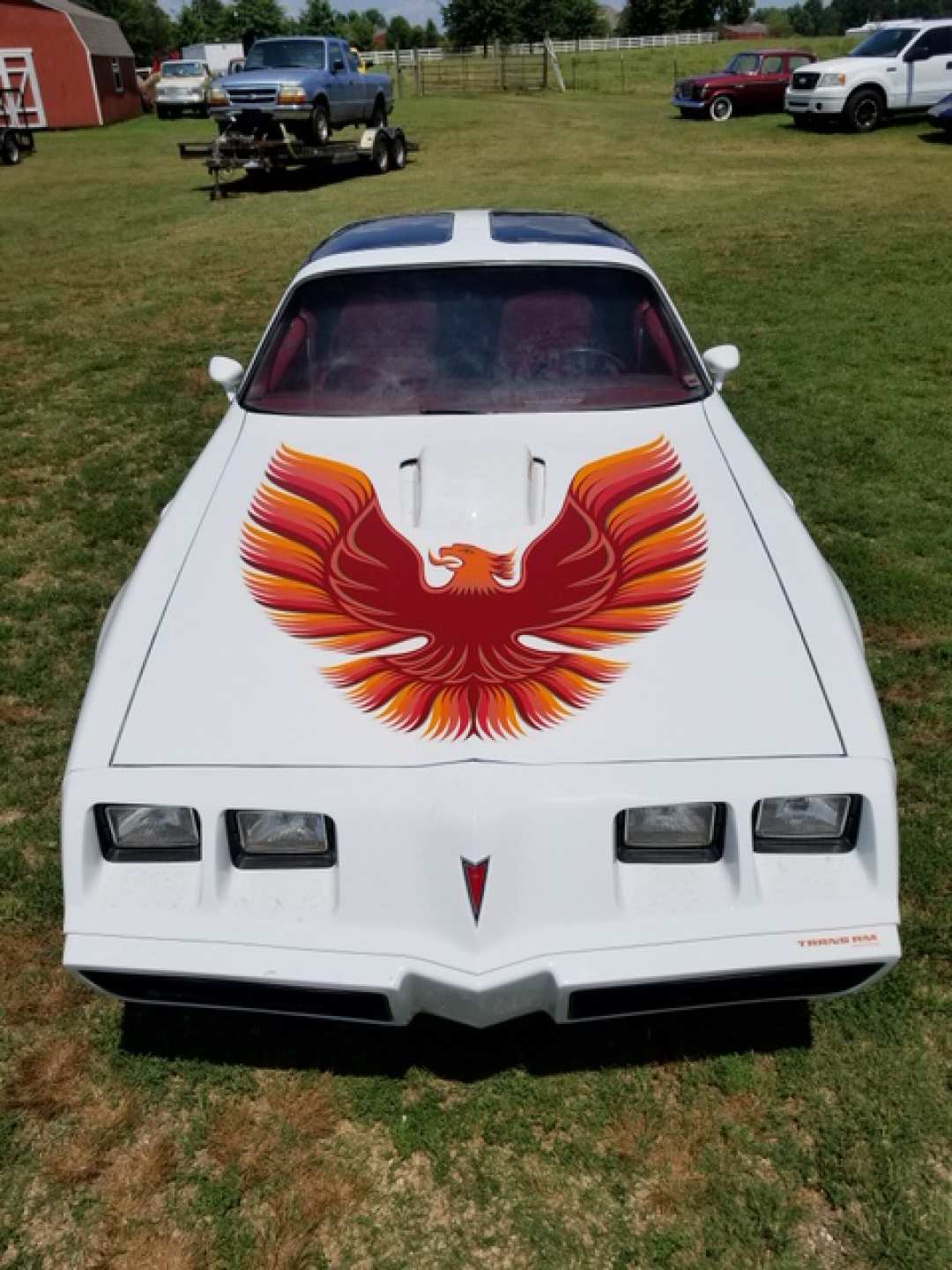 6th Image of a 1979 PONTIAC TRANS AM