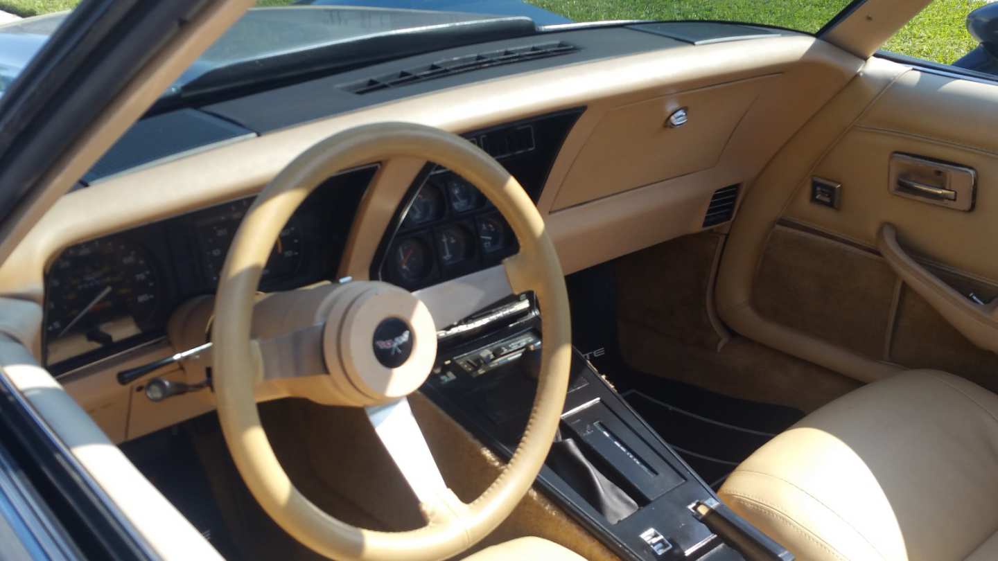 6th Image of a 1979 CHEVROLET CORVETTE