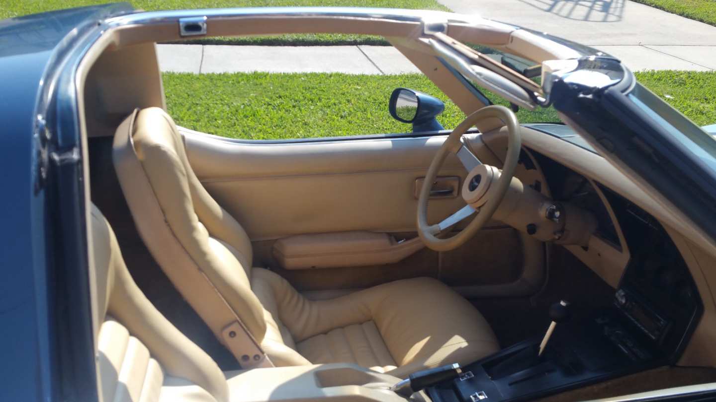 8th Image of a 1979 CHEVROLET CORVETTE