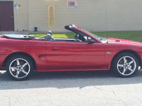 Image 3 of 11 of a 1995 FORD MUSTANG GT
