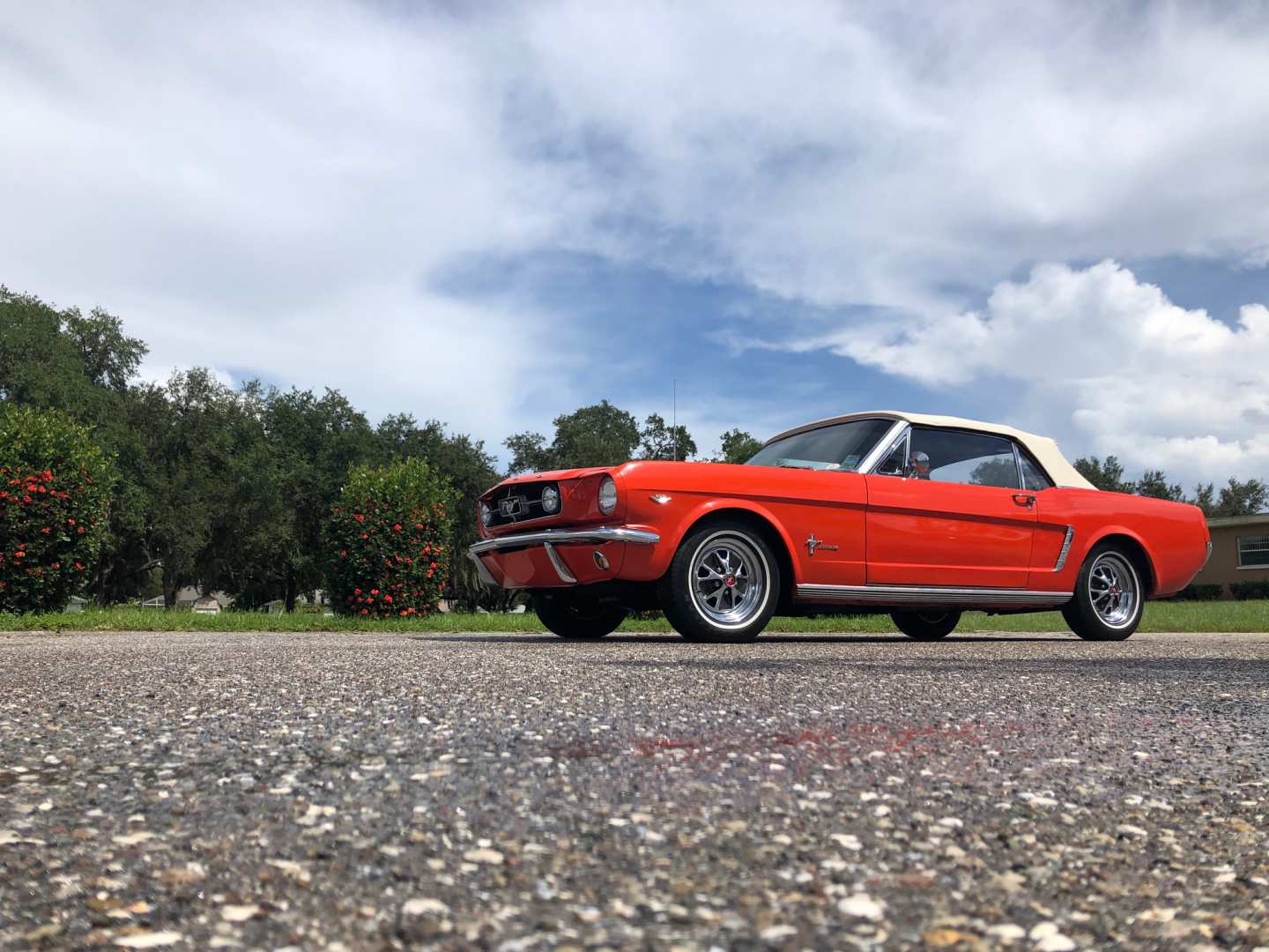 0th Image of a 1965 FORD MUSTANG