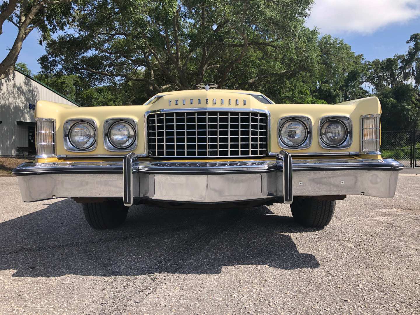 7th Image of a 1976 FORD THUNDERBIRD