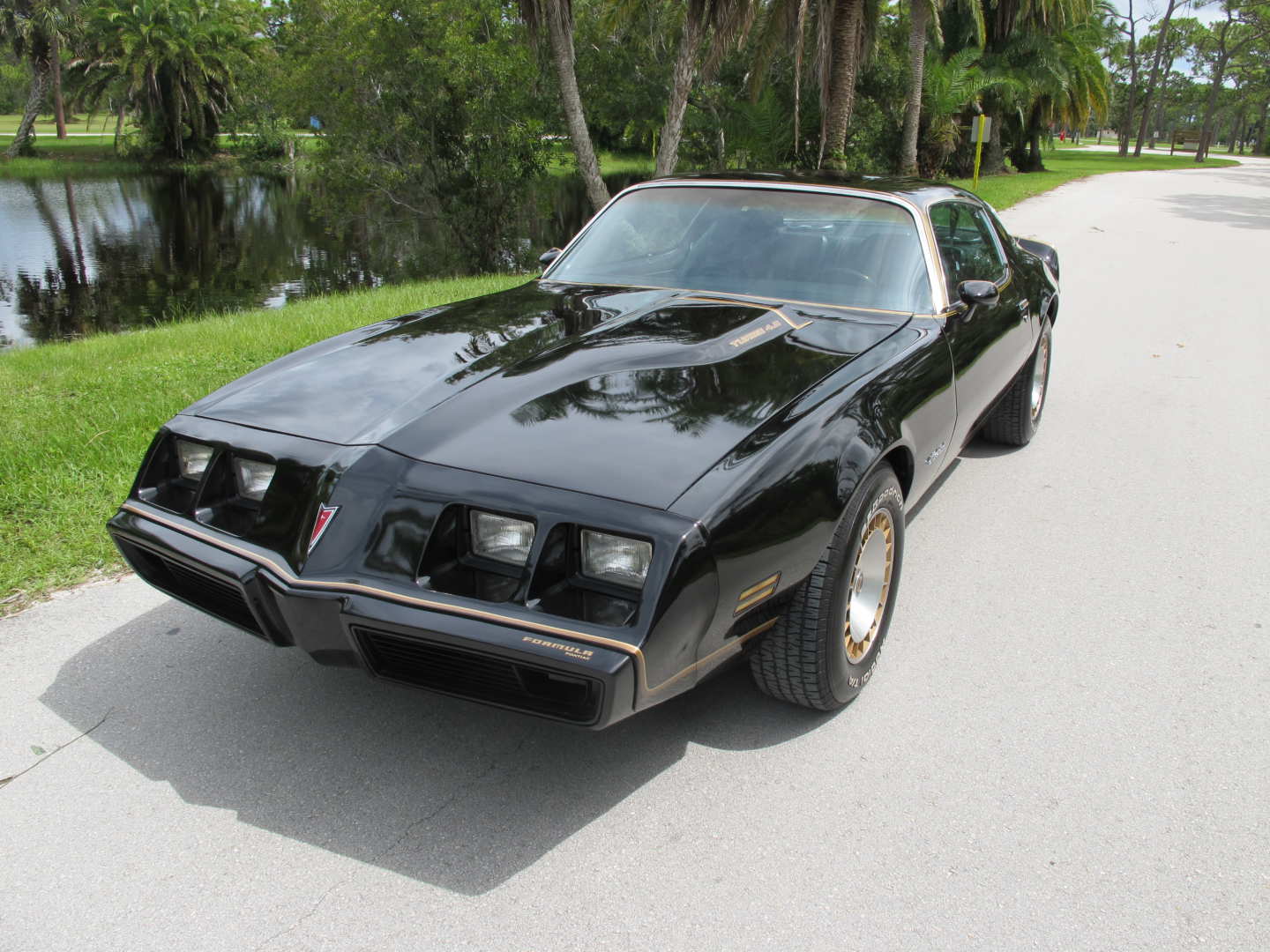 0th Image of a 1981 PONTIAC FIREBIRD FORMULA