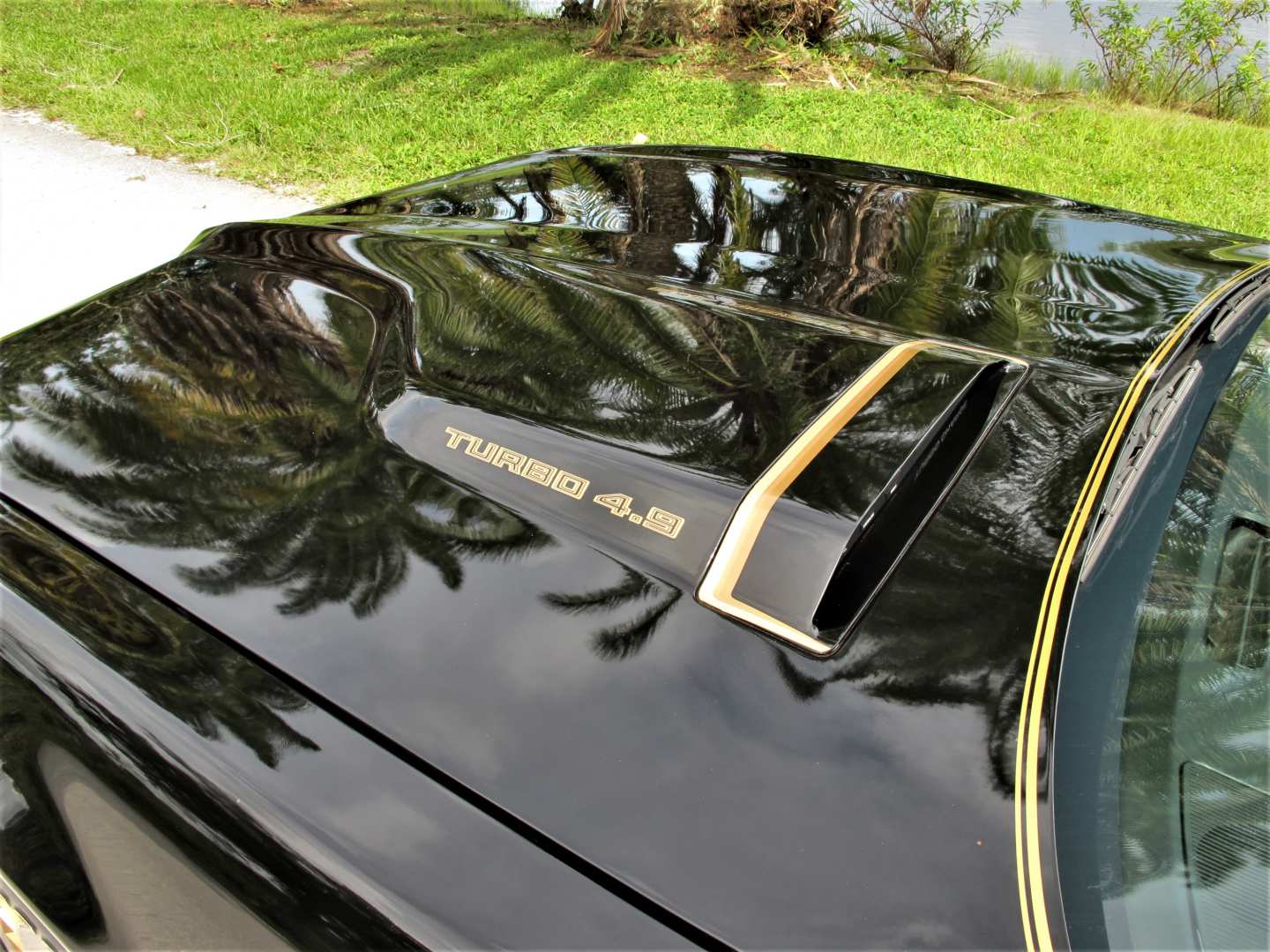 3rd Image of a 1981 PONTIAC FIREBIRD FORMULA