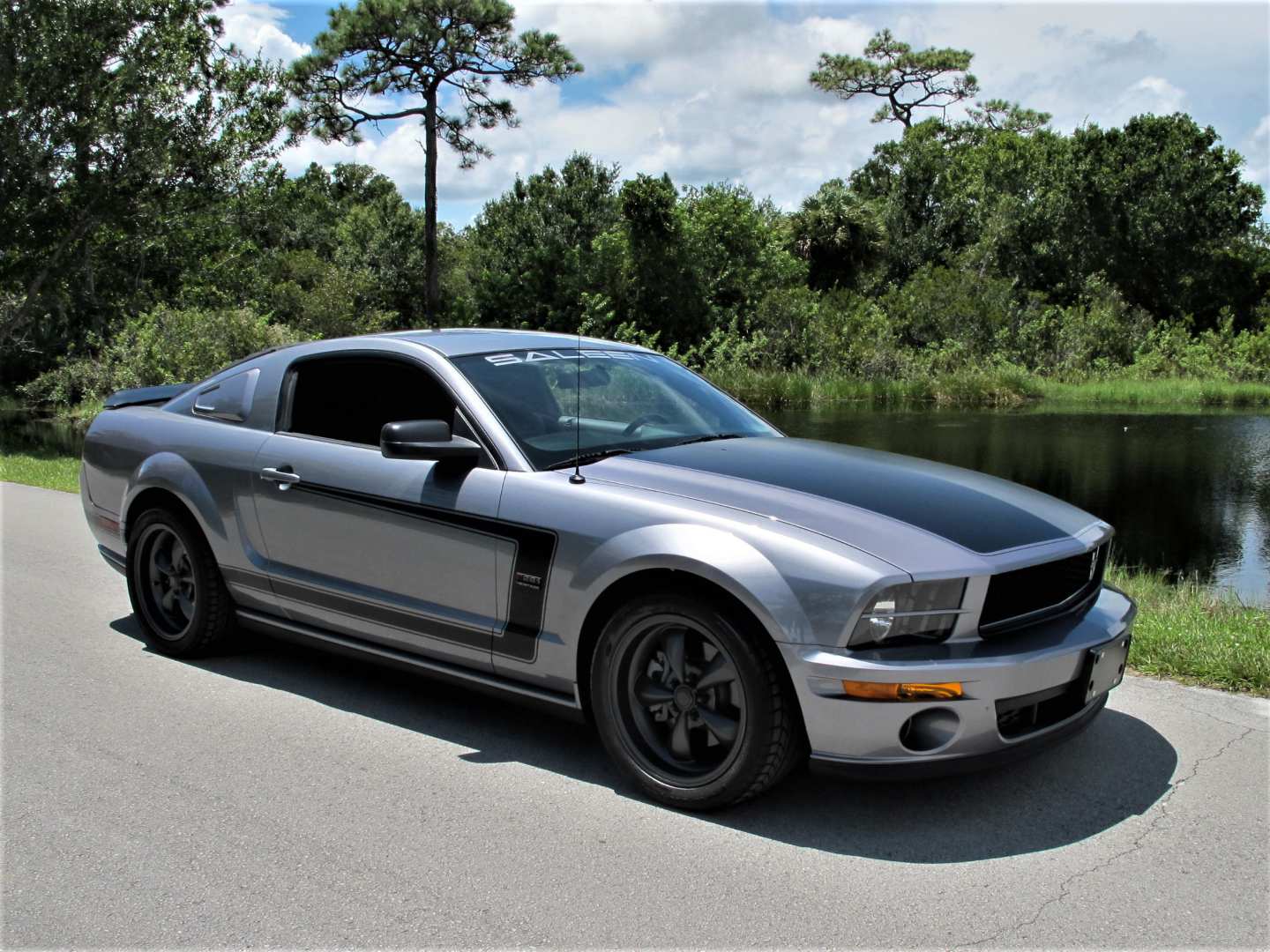 3rd Image of a 2007 FORD MUSTANG GT