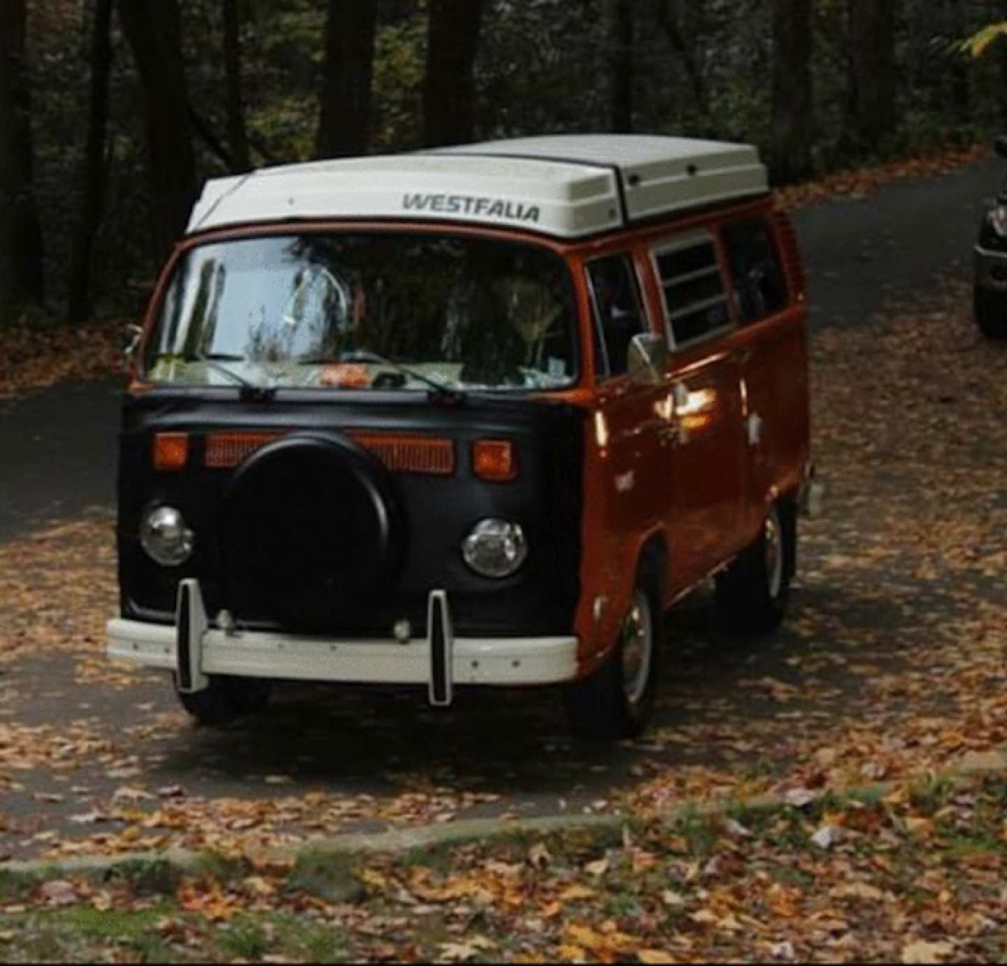 0th Image of a 1975 VOLKSWAGEN WESTFALIA DELUXE