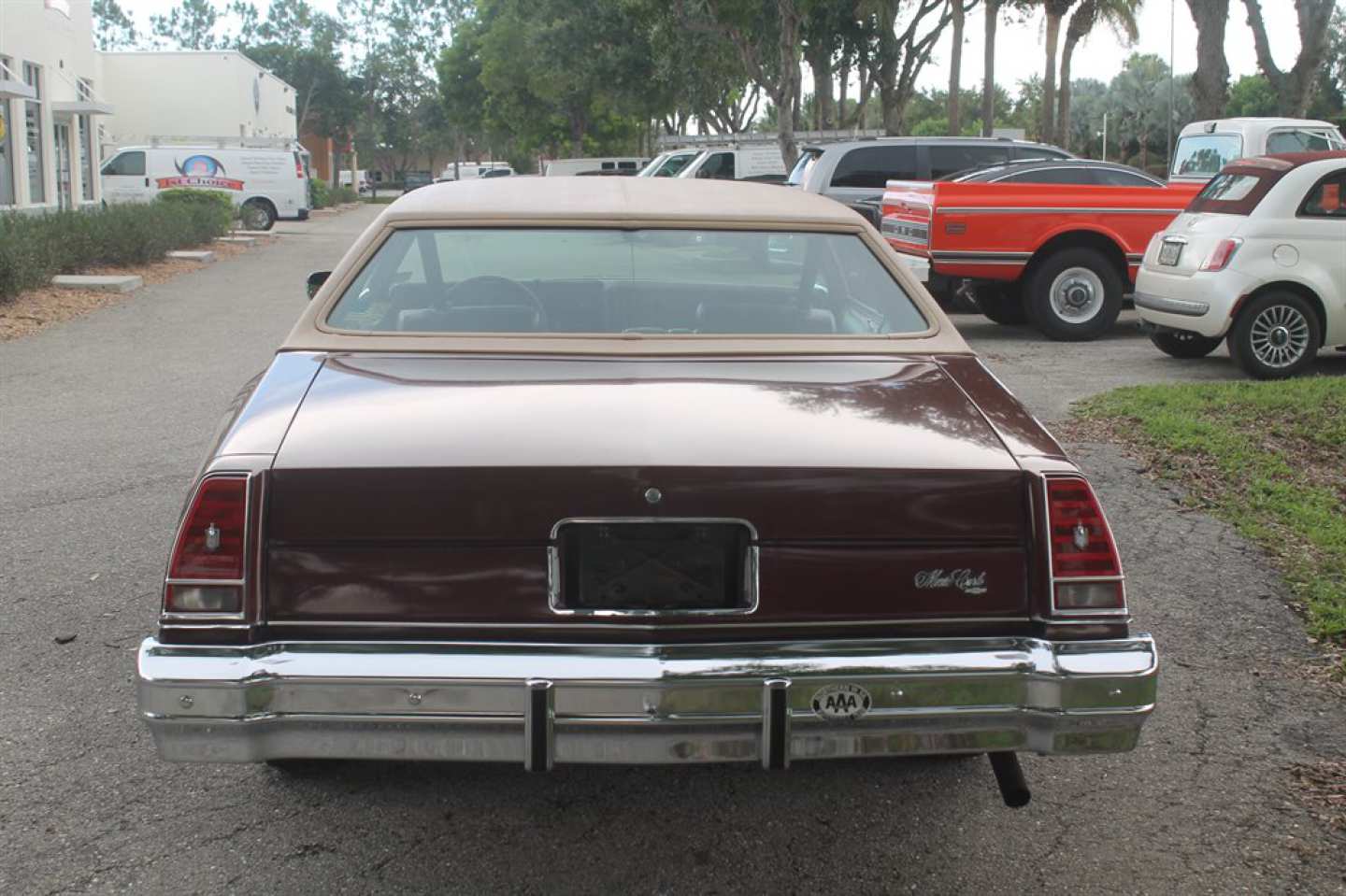 4th Image of a 1976 CHEVROLET MONTE CARLO