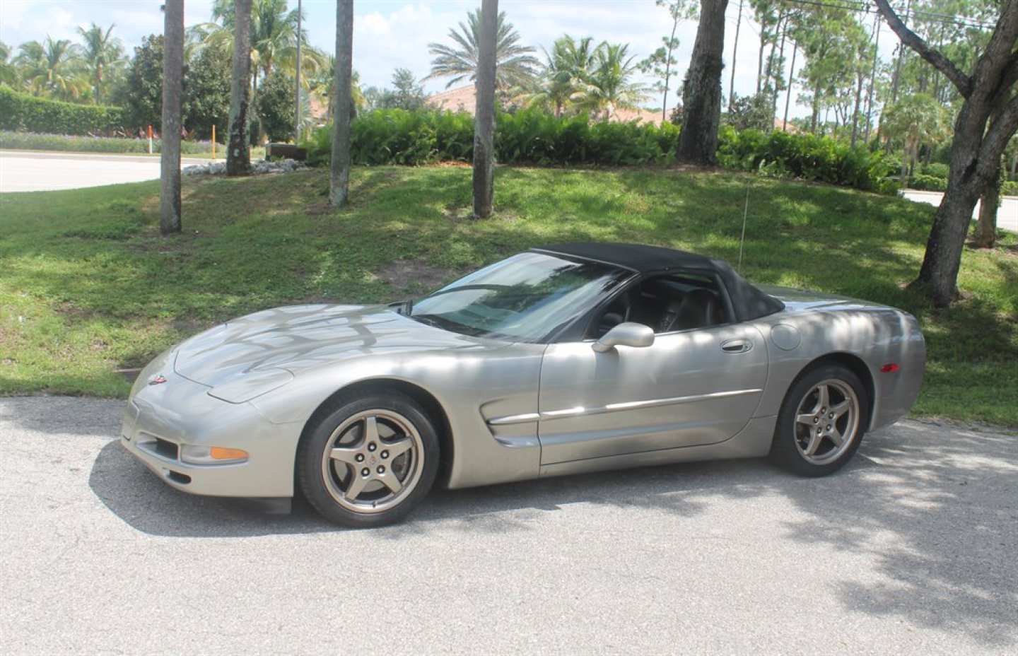 0th Image of a 1999 CHEVROLET CORVETTE