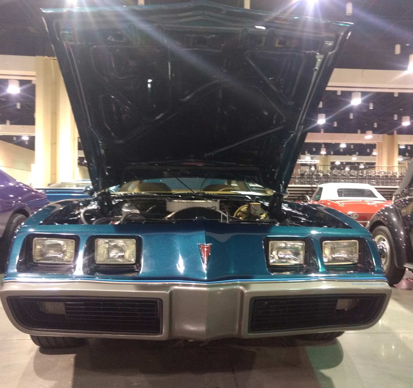 3rd Image of a 1979 PONTIAC FIREBIRD