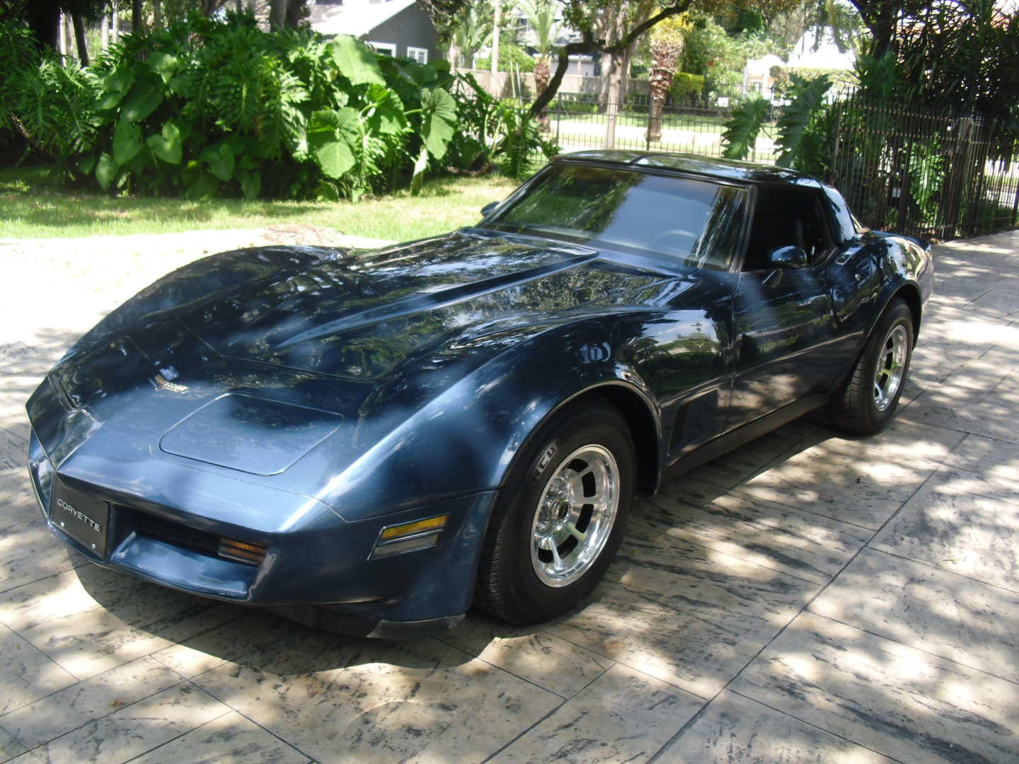 0th Image of a 1981 CHEVROLET CORVETTE