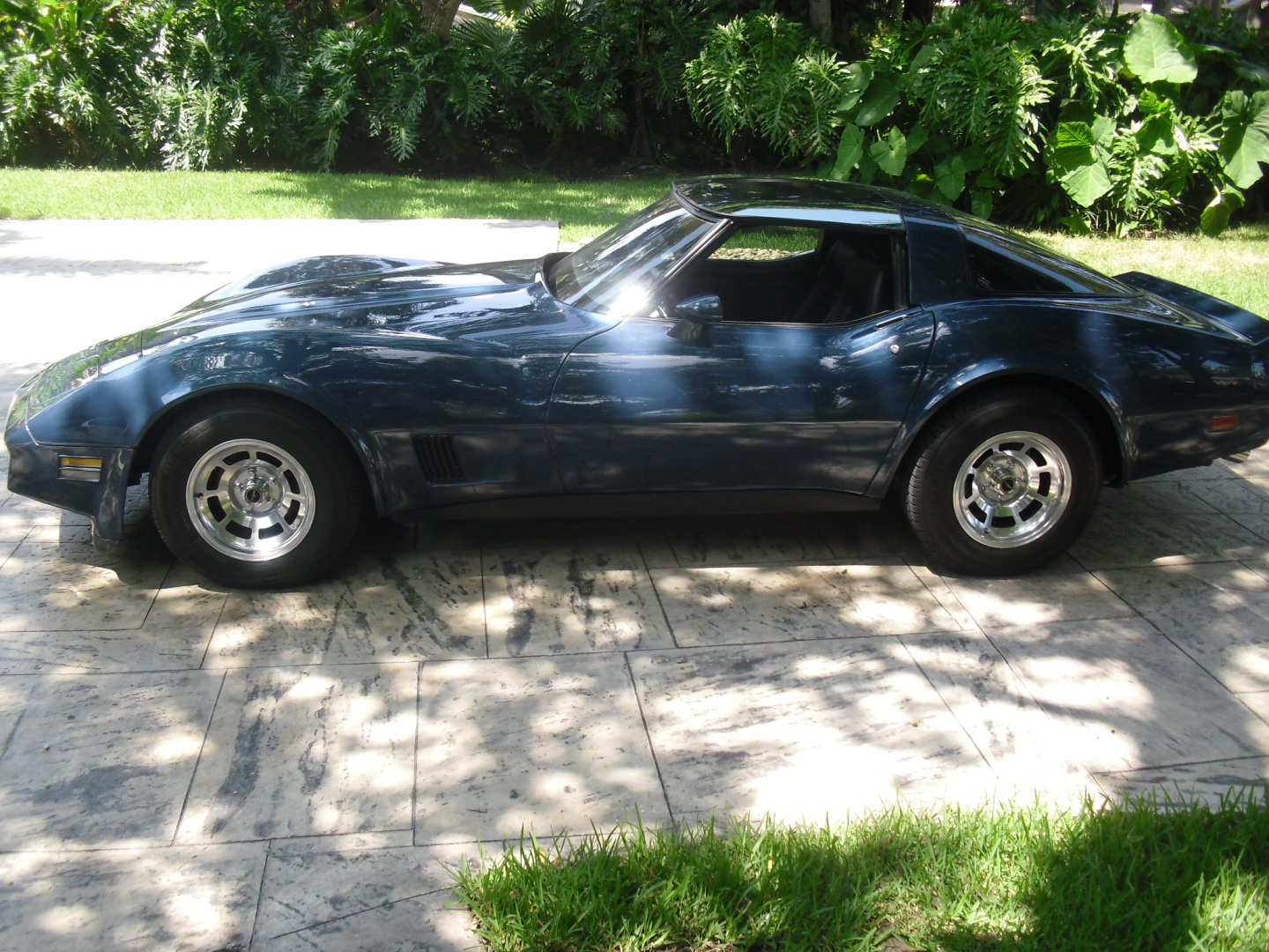 4th Image of a 1981 CHEVROLET CORVETTE