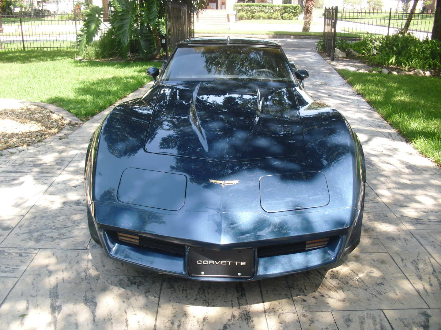 5th Image of a 1981 CHEVROLET CORVETTE