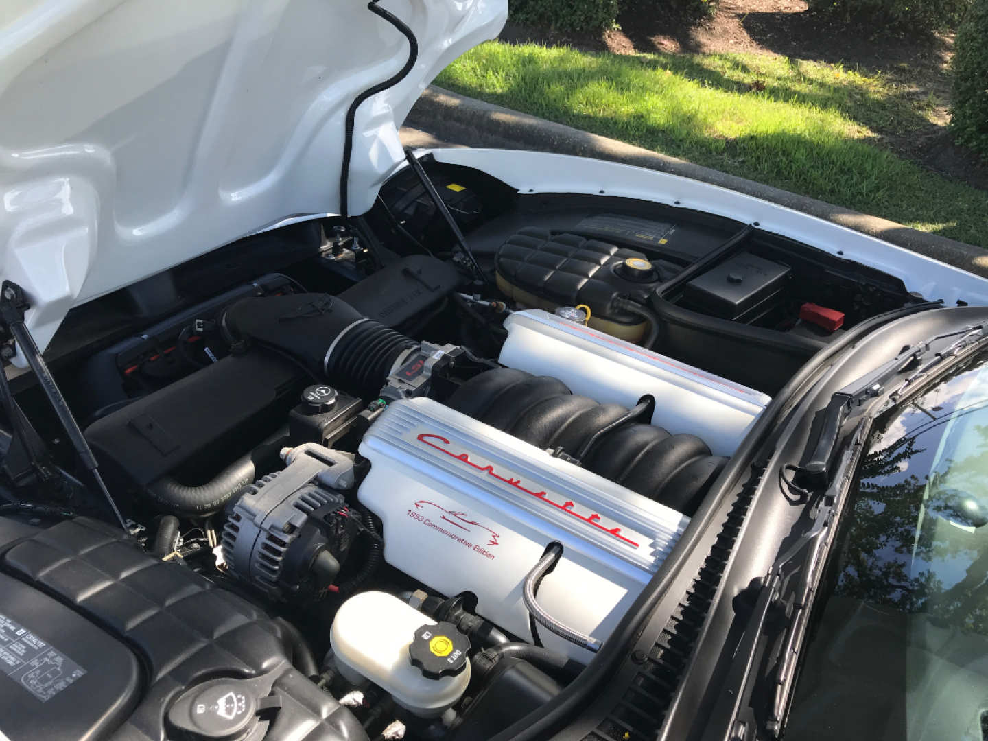 8th Image of a 2004 CHEVROLET CORVETTE