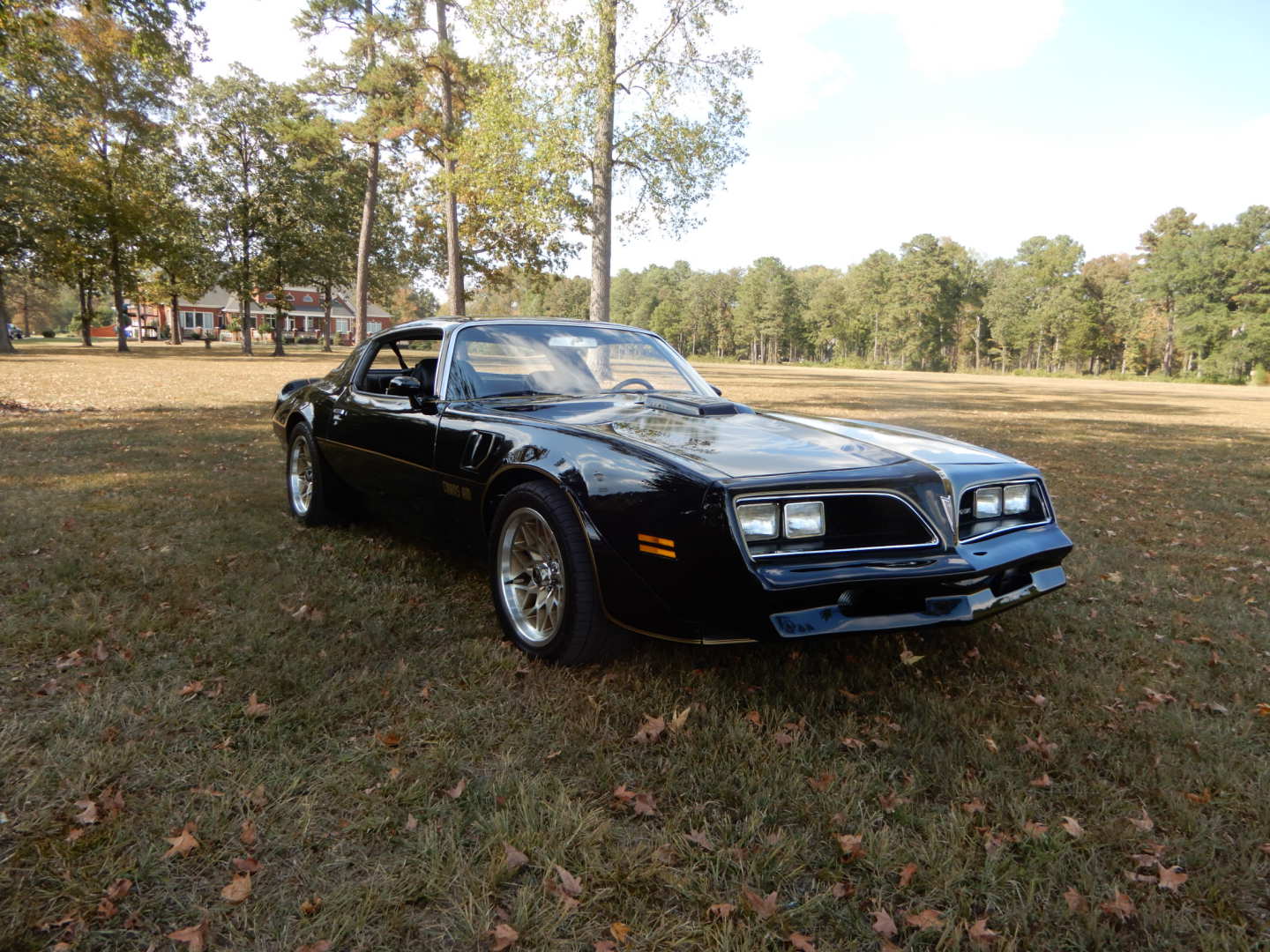 0th Image of a 1978 PONTIAC TRANSAM