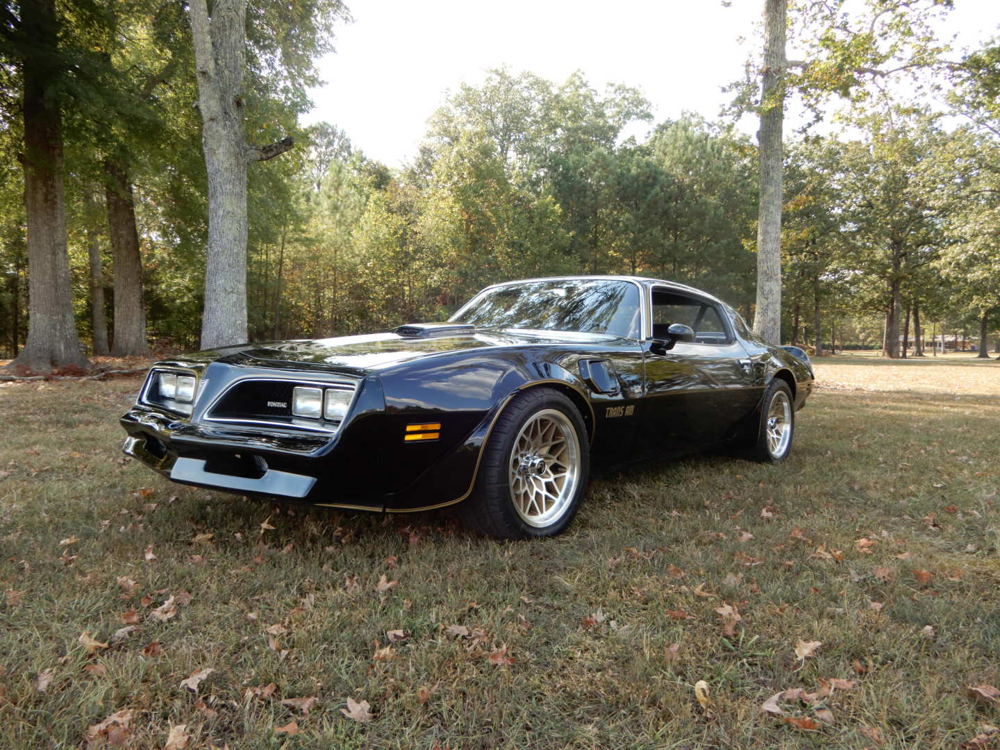 1st Image of a 1978 PONTIAC TRANSAM