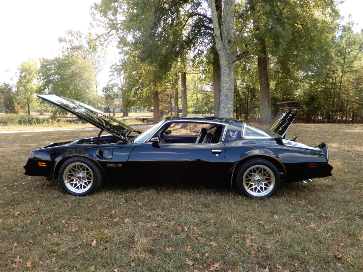 2nd Image of a 1978 PONTIAC TRANSAM