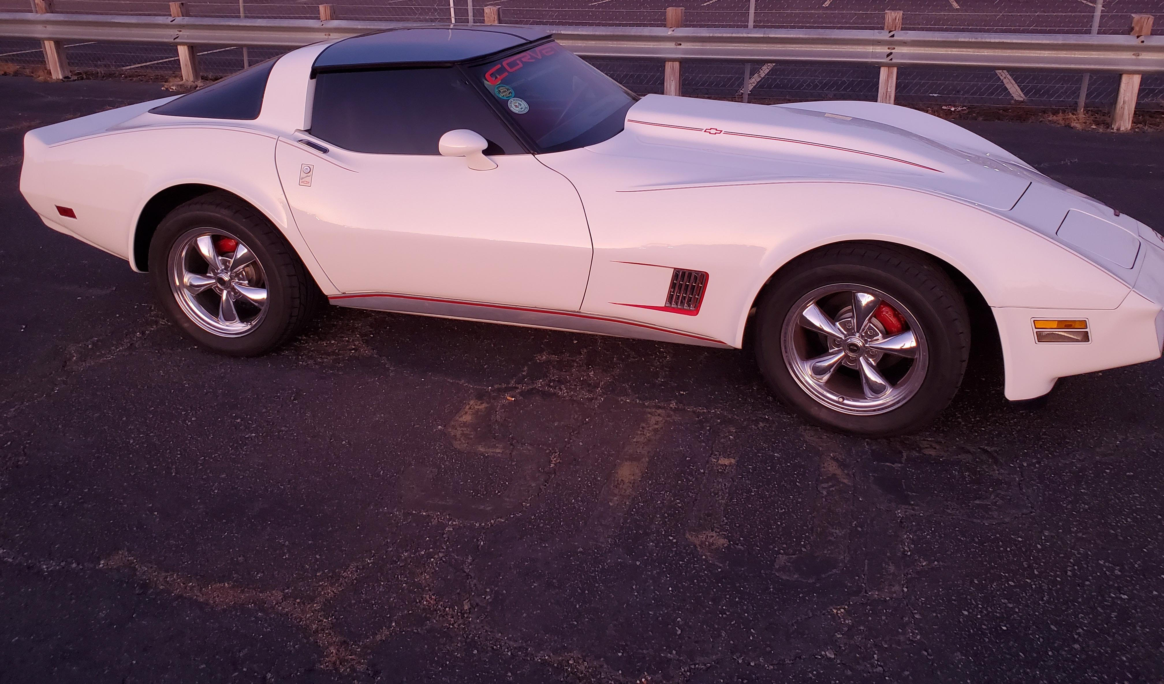 0th Image of a 1981 CHEVROLET CORVETTE