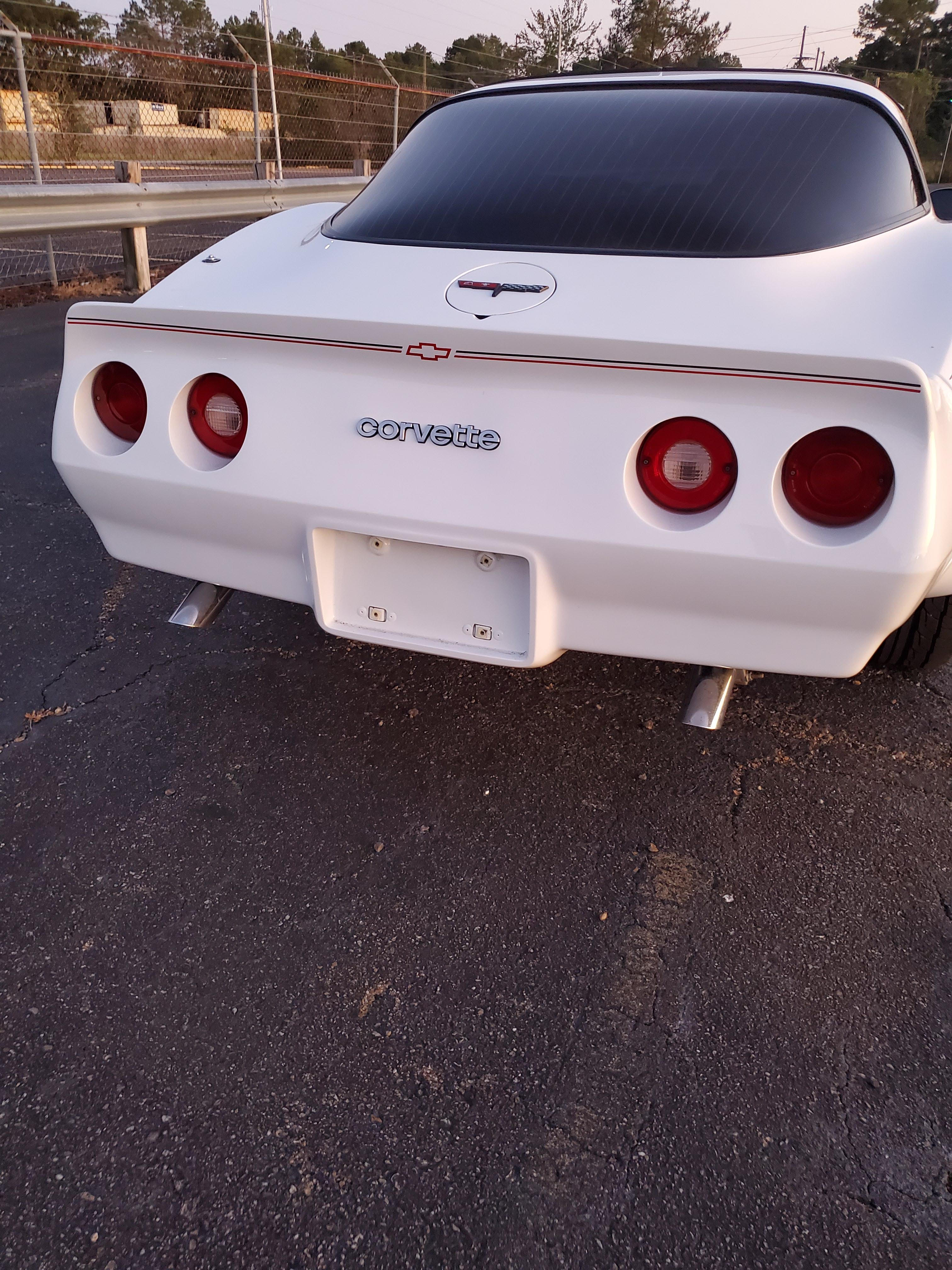 7th Image of a 1981 CHEVROLET CORVETTE