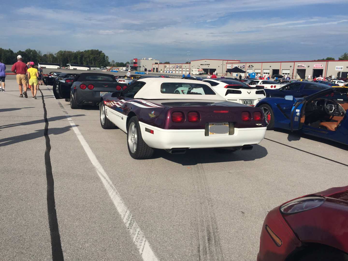 4th Image of a 1995 CHEVROLET CORVETTE