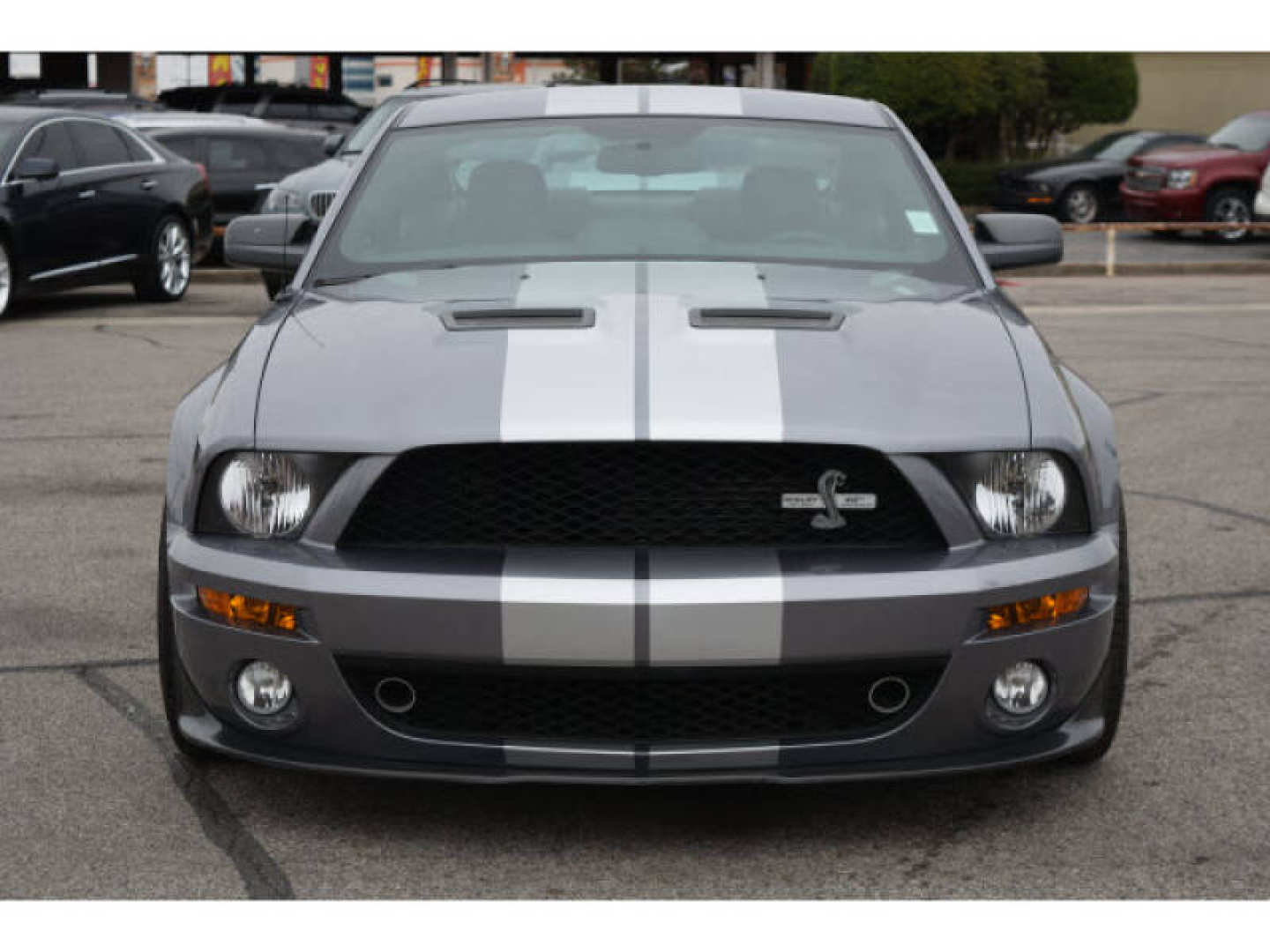 0th Image of a 2007 FORD MUSTANG SHELBY GT500