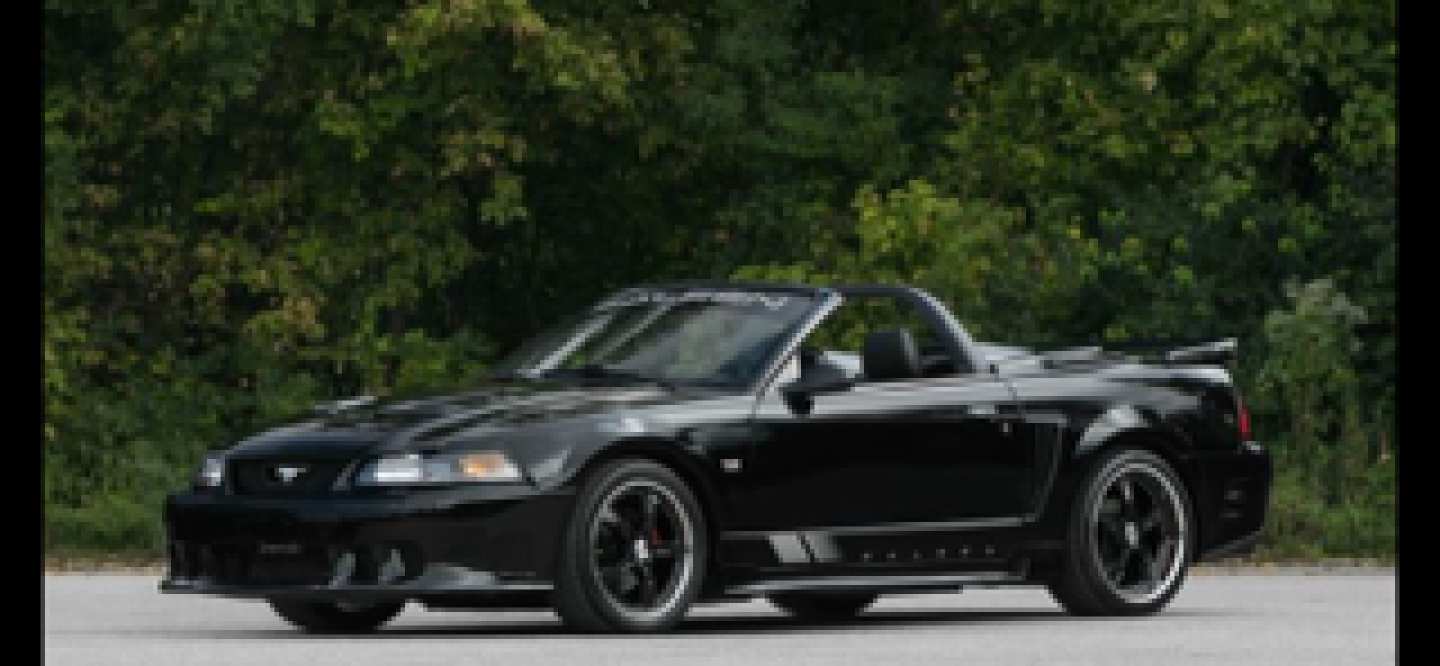 0th Image of a 2004 FORD MUSTANG